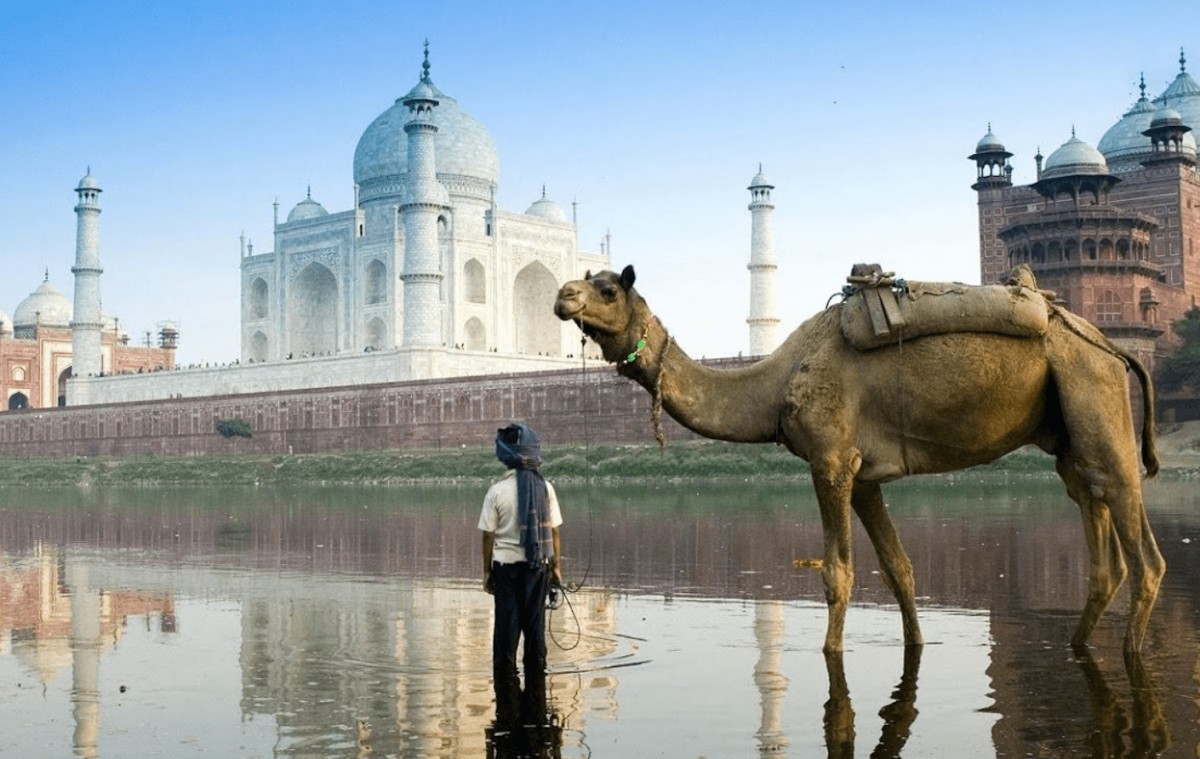 Magnifik Taj Mahal i Indien