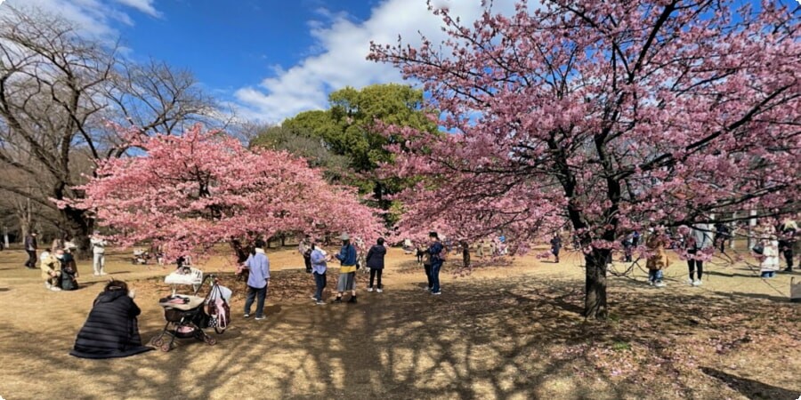 Yoyogi Park: pulzující kulturní centrum v Tokiu